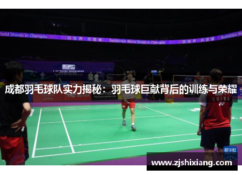 成都羽毛球队实力揭秘：羽毛球巨献背后的训练与荣耀